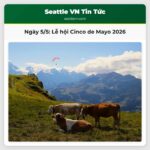 Ngày 5/5 Lễ hội Cinco de Mayo 2026