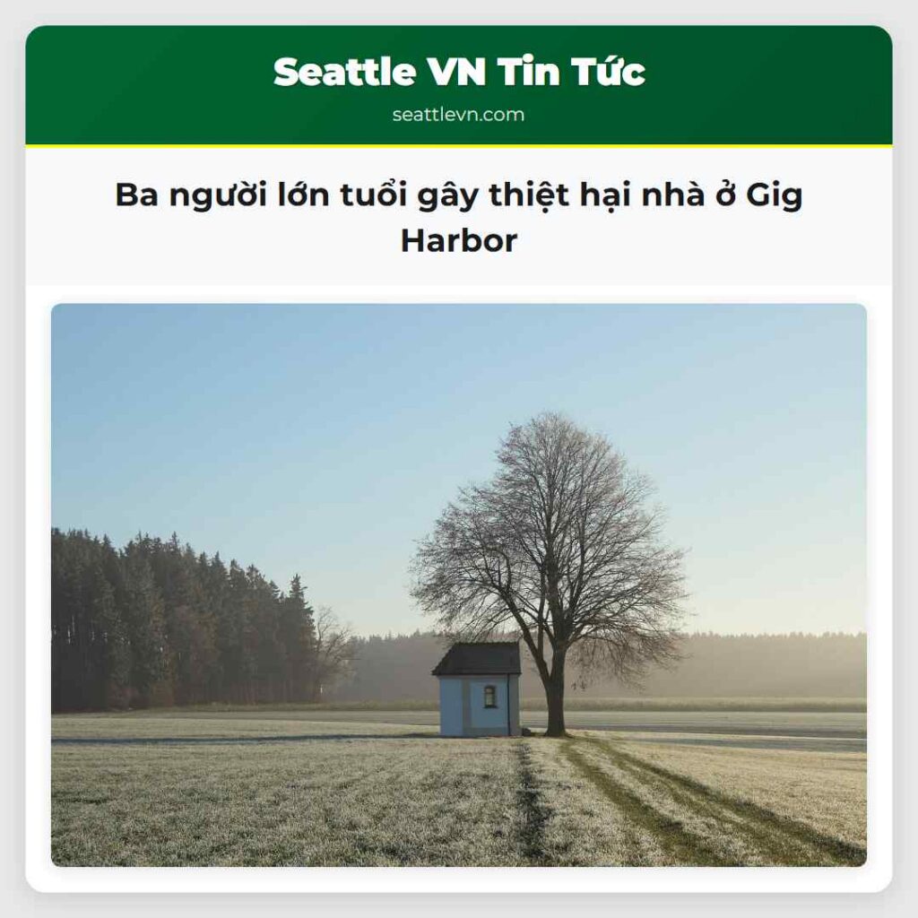 Ba người lớn tuổi gây thiệt hại nhà ở Gig Harbor