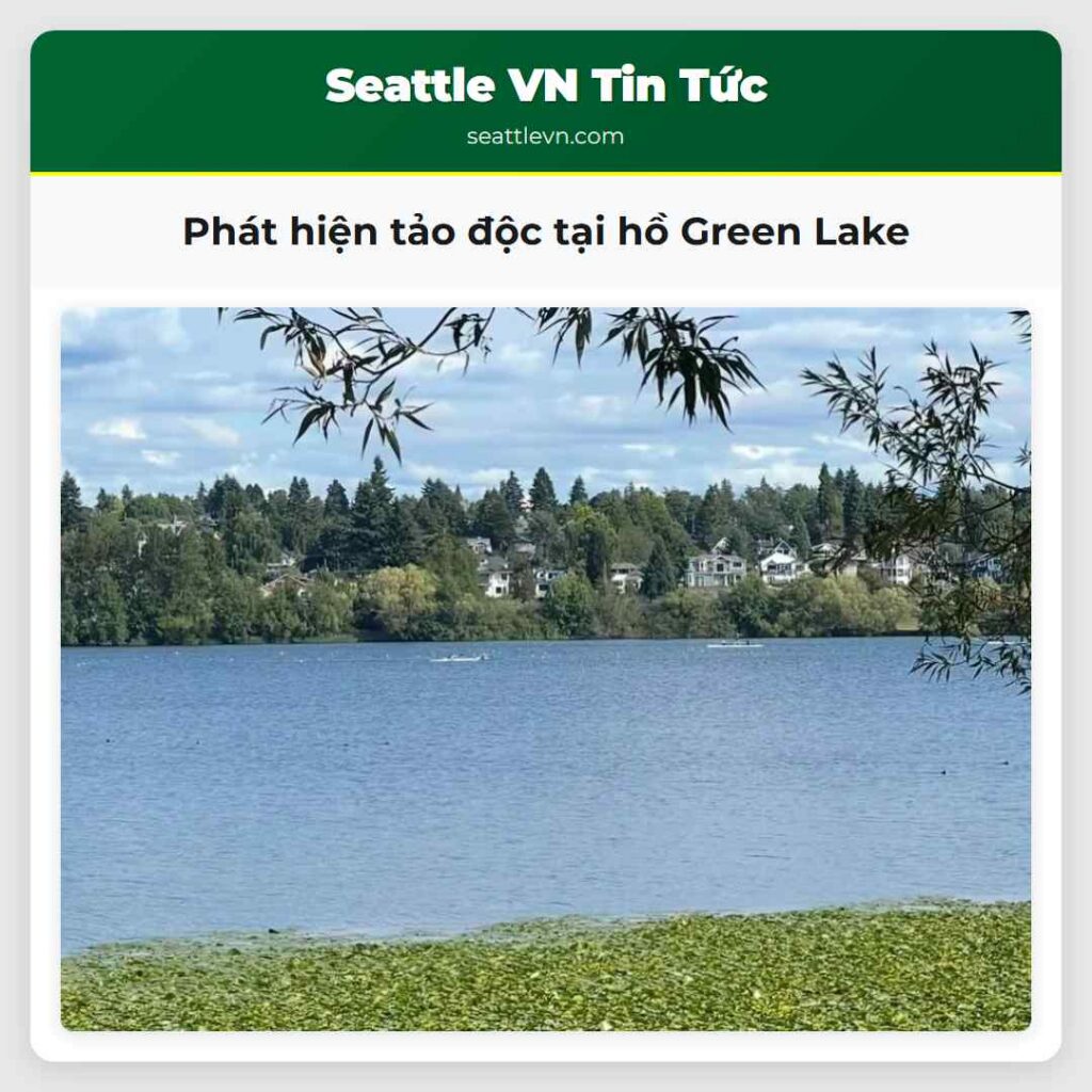 Phát hiện tảo độc tại hồ Green Lake