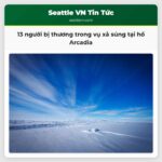 13 người bị thương trong vụ xả súng tại hồ Arcadia