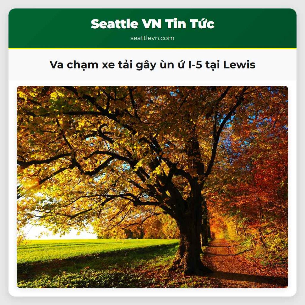 Va chạm xe tải gây ùn ứ I-5 tại Lewis