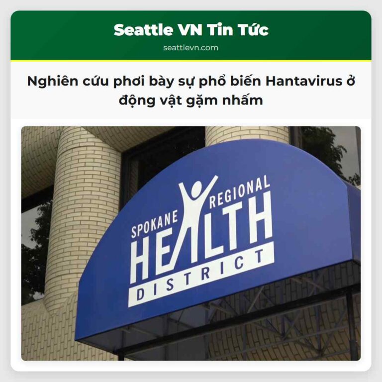 Nghiên cứu phơi bày sự phổ biến Hantavirus ở động vật gặm nhấm