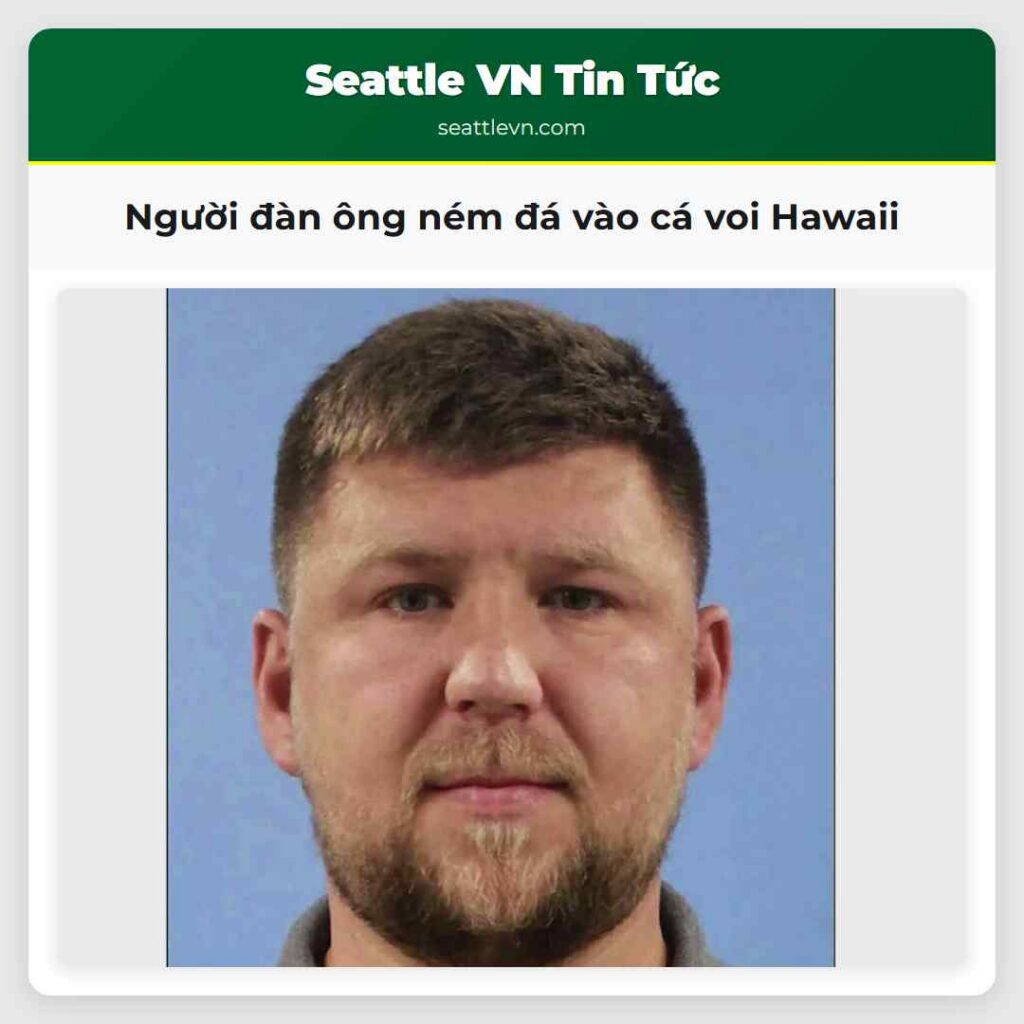 Người đàn ông ném đá vào cá voi Hawaii