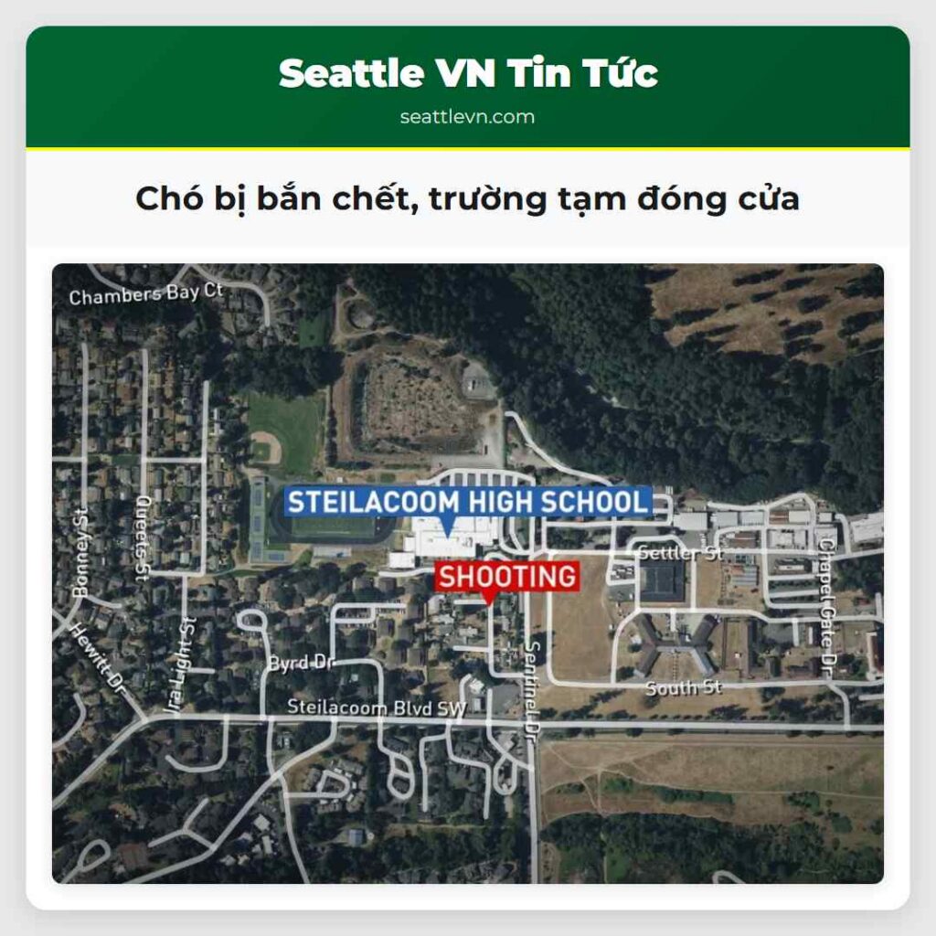 Chó bị bắn chết, trường tạm đóng cửa