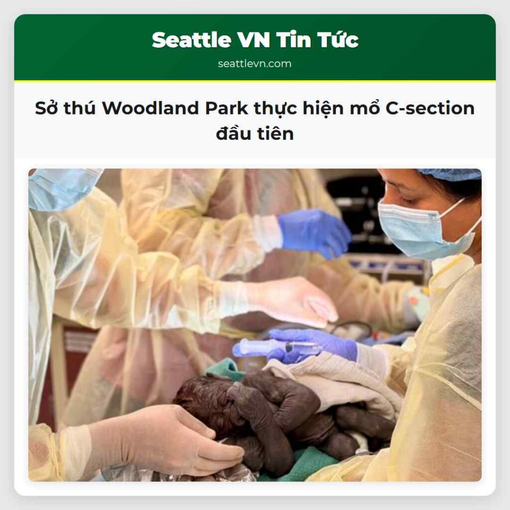 Sở thú Woodland Park thực hiện mổ C-section đầu