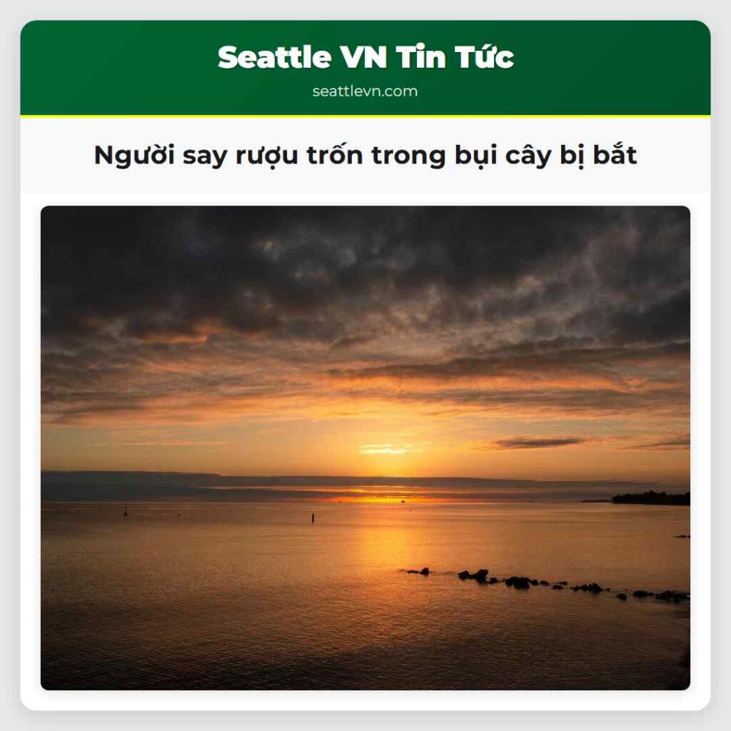Người say rượu trốn trong bụi cây bị bắt