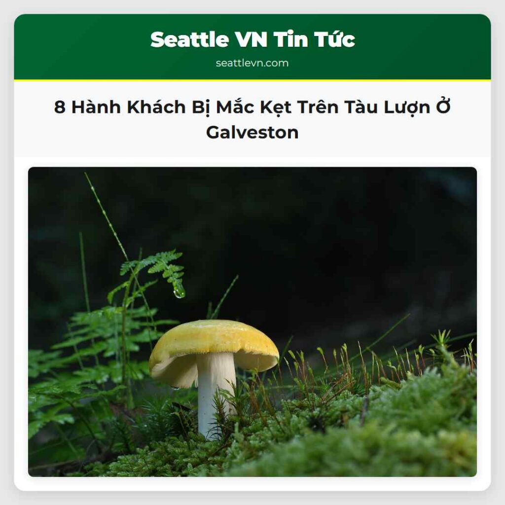 8 Hành Khách Bị Mắc Kẹt Trên Tàu Lượn Ở Galveston