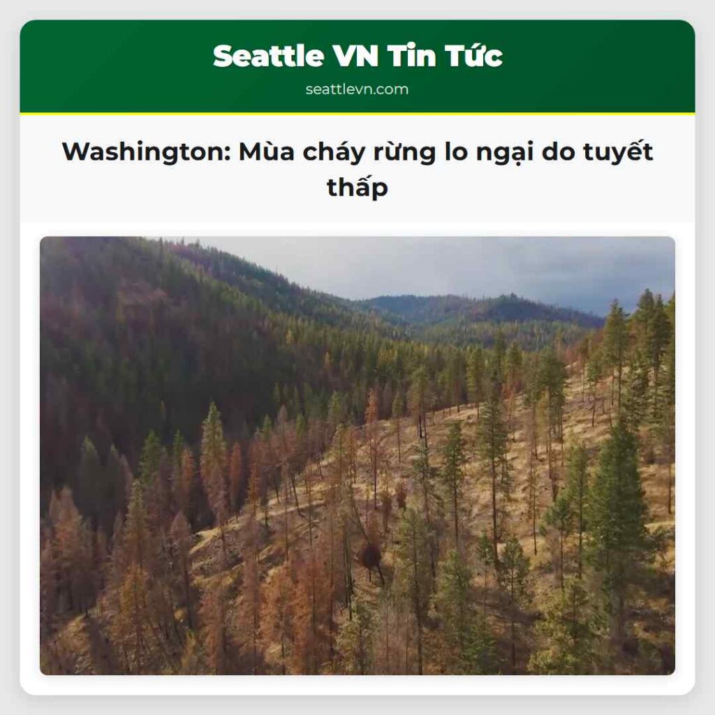 Washington: Mùa cháy rừng lo ngại do tuyết thấp