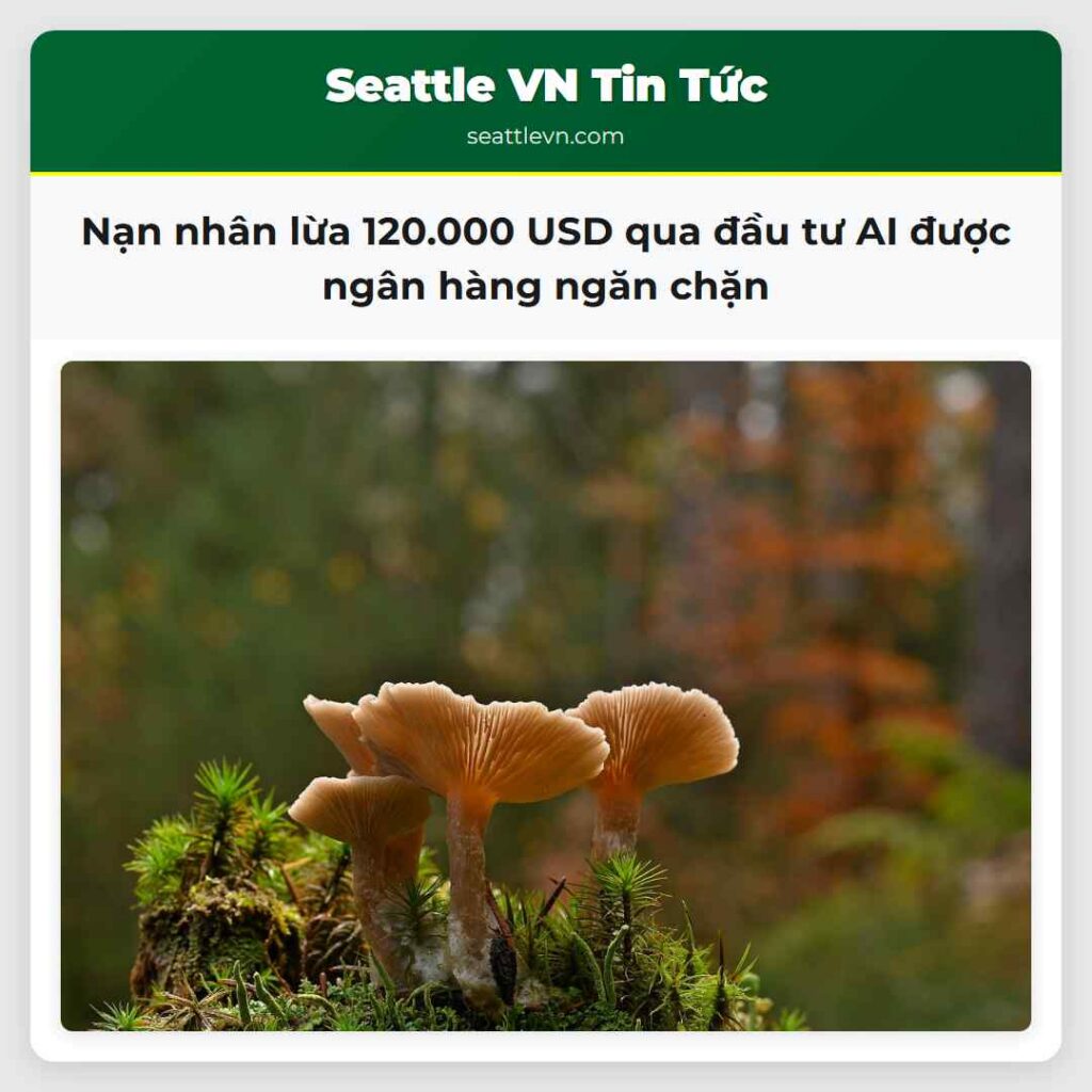 Nạn nhân lừa 120.000 USD qua đầu tư AI được ngân
