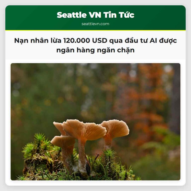Nạn nhân lừa 120.000 USD qua đầu tư AI được ngân hàng ngăn chặn