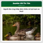 Người đàn ông hiếp dâm thiếu nữ tại trạm xe buýt