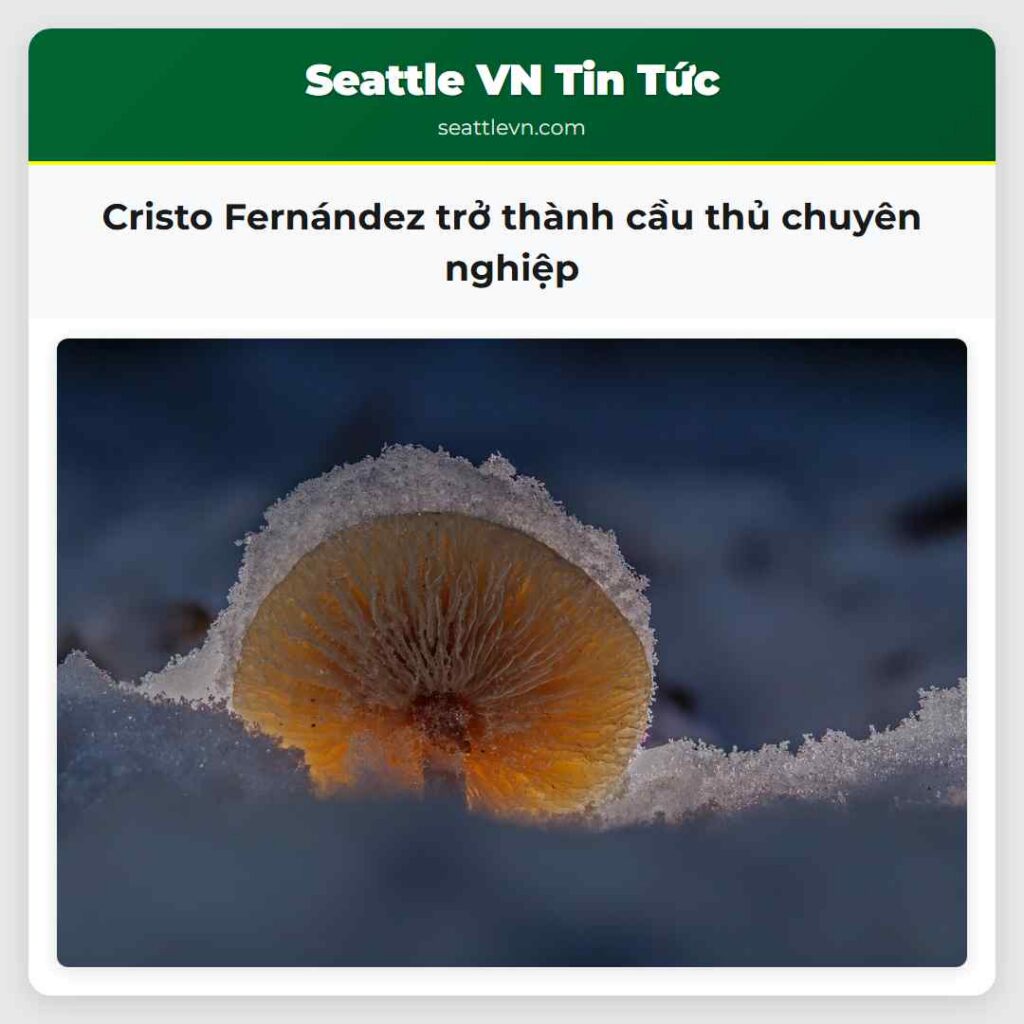 Cristo Fernández trở thành cầu thủ chuyên nghiệp