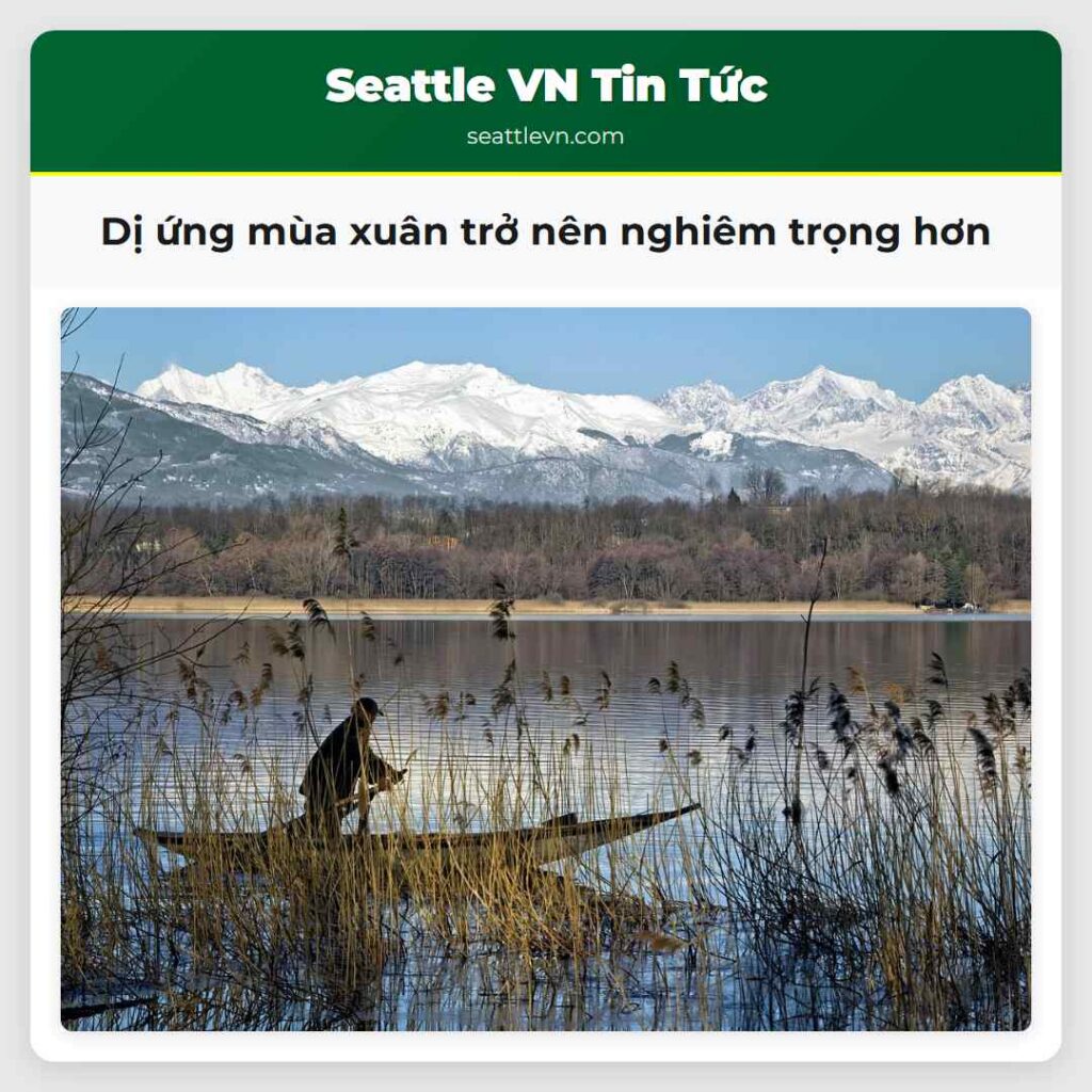 Dị ứng mùa xuân trở nên nghiêm trọng hơn