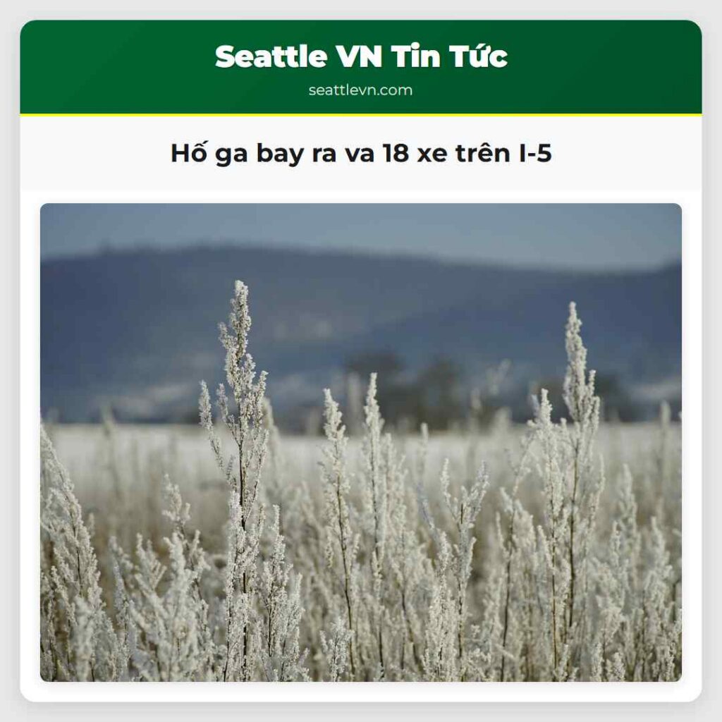 Hố ga bay ra va 18 xe trên I-5