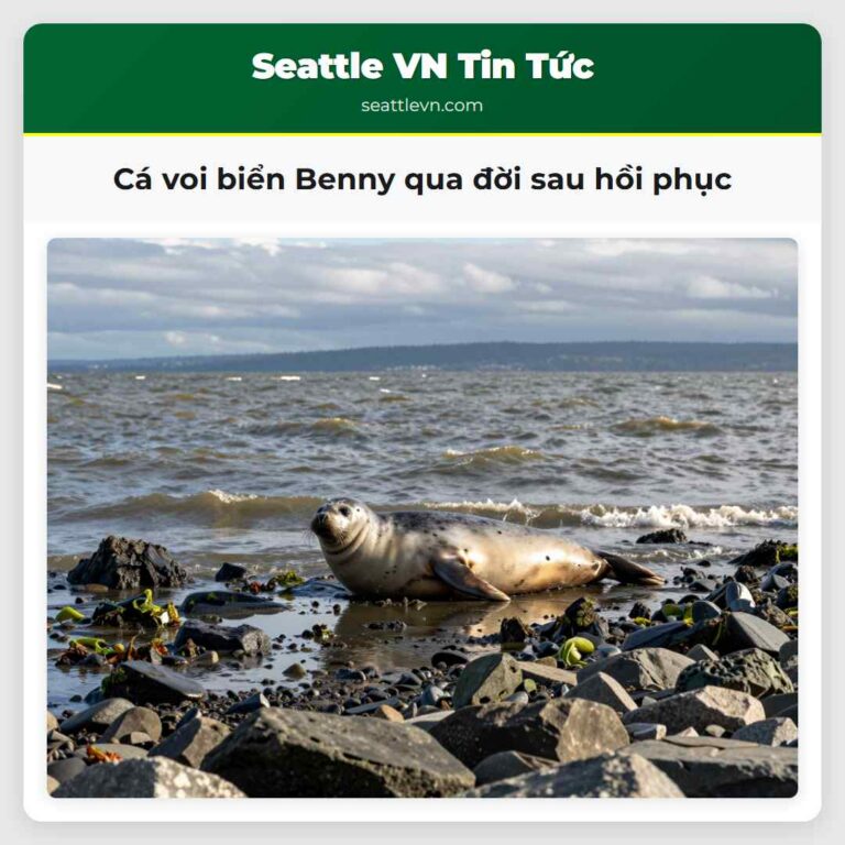 Cá voi biển Benny qua đời sau hồi phục