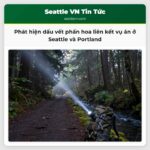 Phát hiện dấu vết phấn hoa liên kết vụ án ở Seattle và Portland