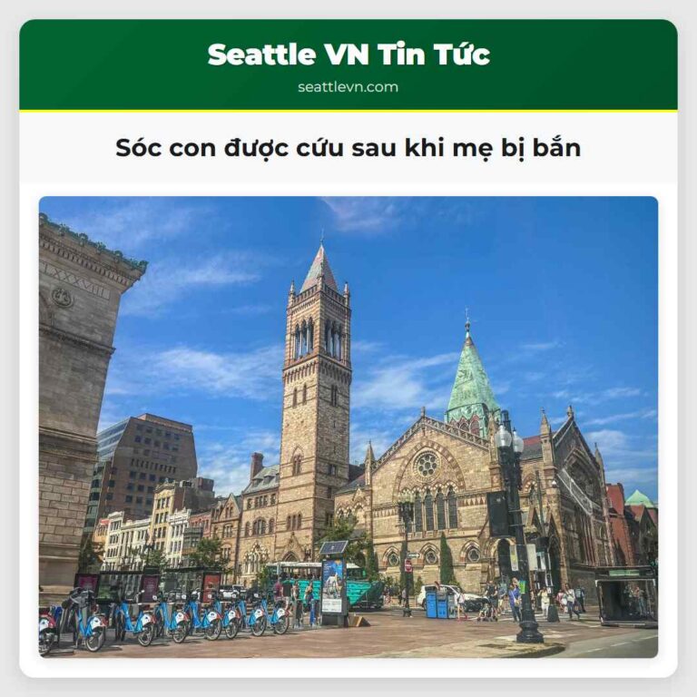 Sóc con được cứu sau khi mẹ bị bắn