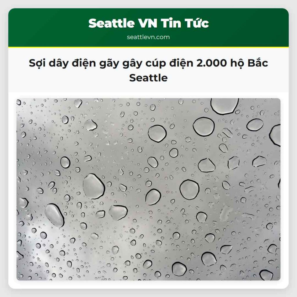 Sợi dây điện gãy gây cúp điện 2.000 hộ Bắc Seattle