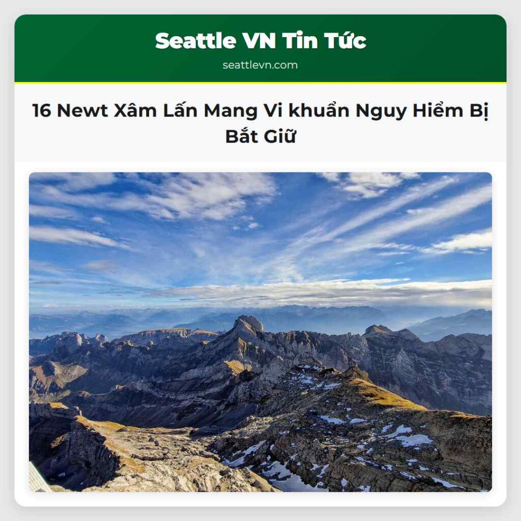 16 Newt Xâm Lấn Mang Vi khuẩn Nguy Hiểm Bị Bắt Giữ