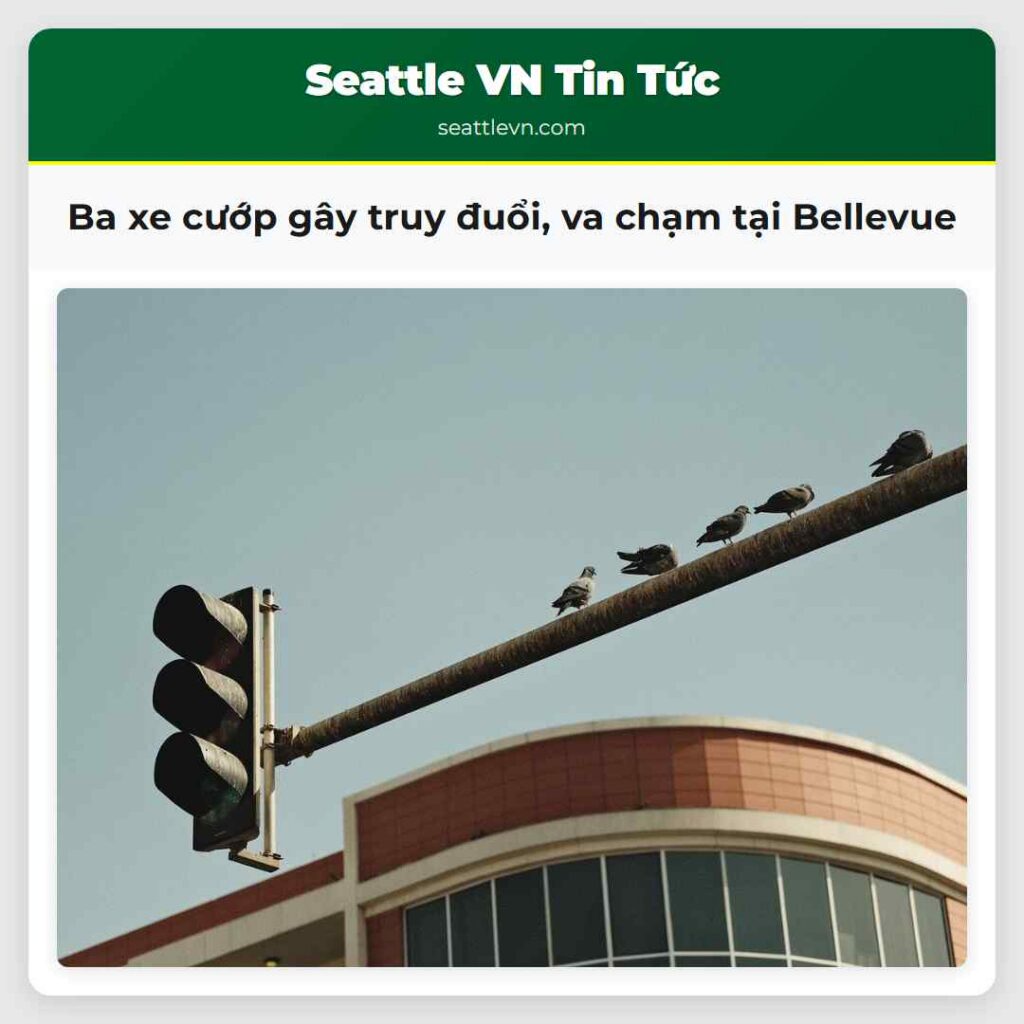 Ba xe cướp gây truy đuổi, va chạm tại Bellevue