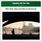 Kiến chân vàng xuất hiện tại Vancouver