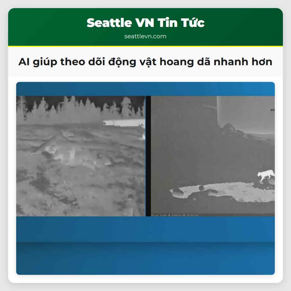 AI giúp theo dõi động vật hoang dã nhanh hơn
