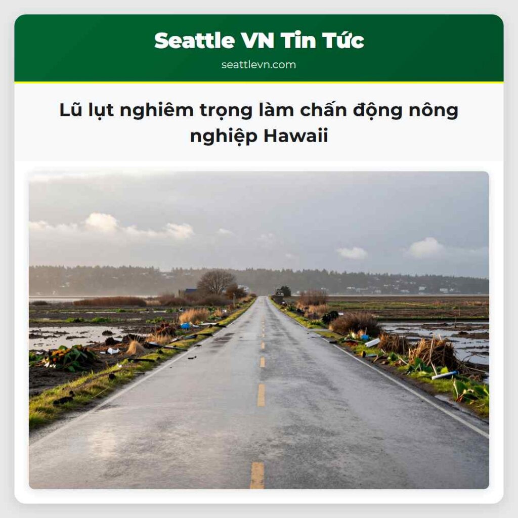 Lũ lụt nghiêm trọng làm chấn động nông nghiệp