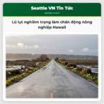 Lũ lụt nghiêm trọng làm chấn động nông nghiệp Hawaii