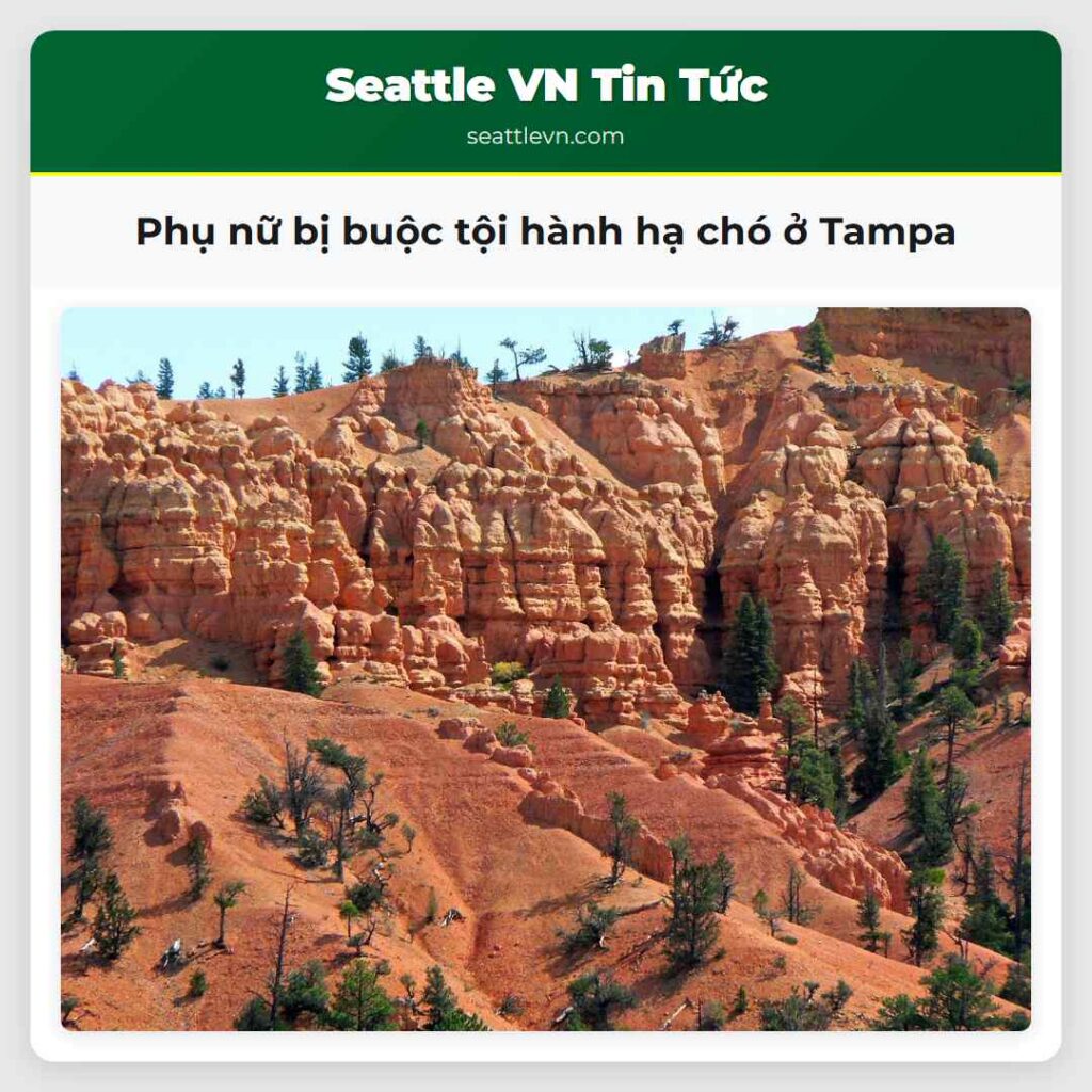 Phụ nữ bị buộc tội hành hạ chó ở Tampa