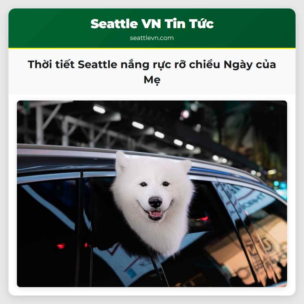 Thời tiết Seattle nắng rực rỡ chiều Ngày của Mẹ
