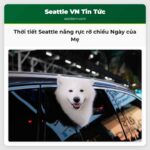Thời tiết Seattle nắng rực rỡ chiều Ngày của Mẹ