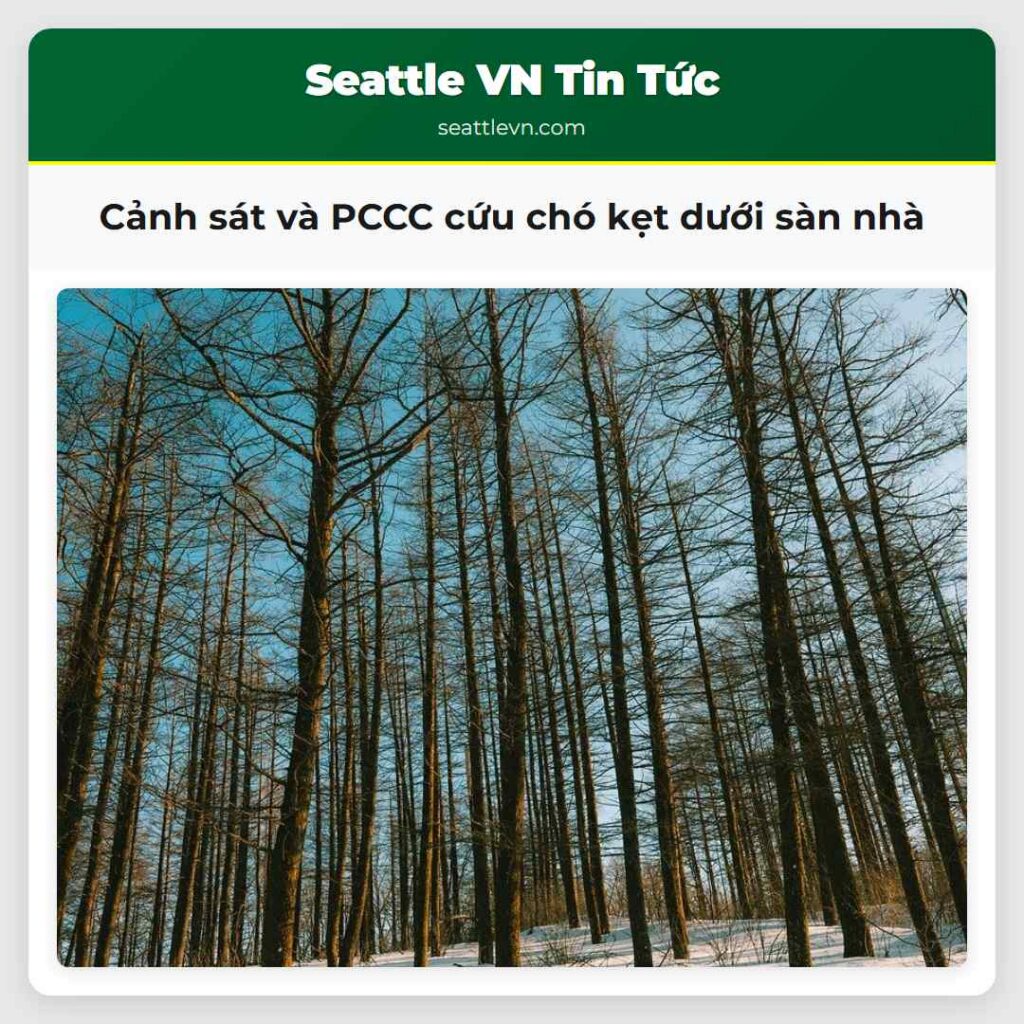 Cảnh sát và PCCC cứu chó kẹt dưới sàn nhà