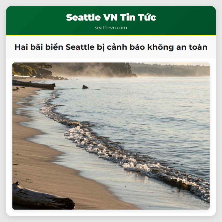 Hai bãi biển Seattle bị cảnh báo không an toàn