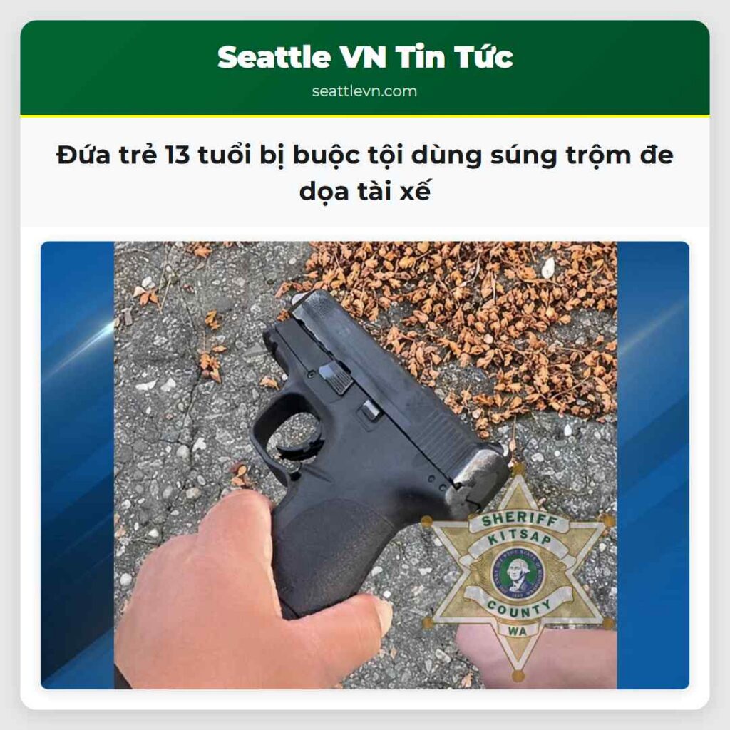 Đứa trẻ 13 tuổi bị buộc tội dùng súng trộm đe dọa