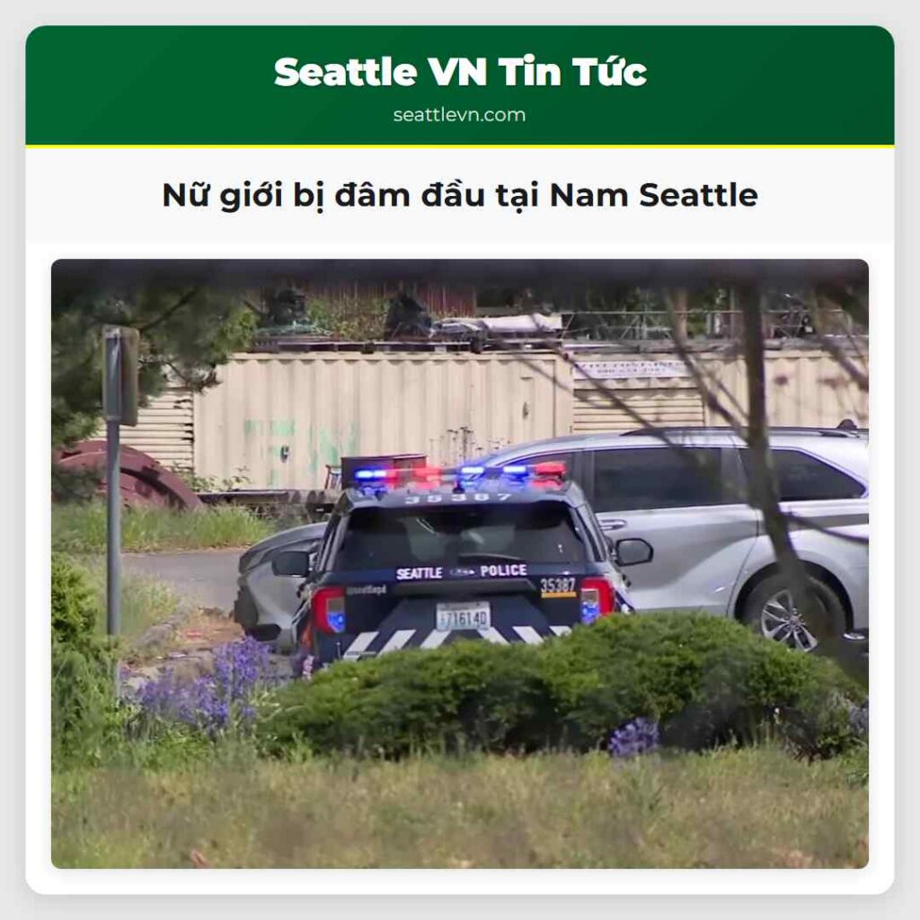 Nữ giới bị đâm đầu tại Nam Seattle