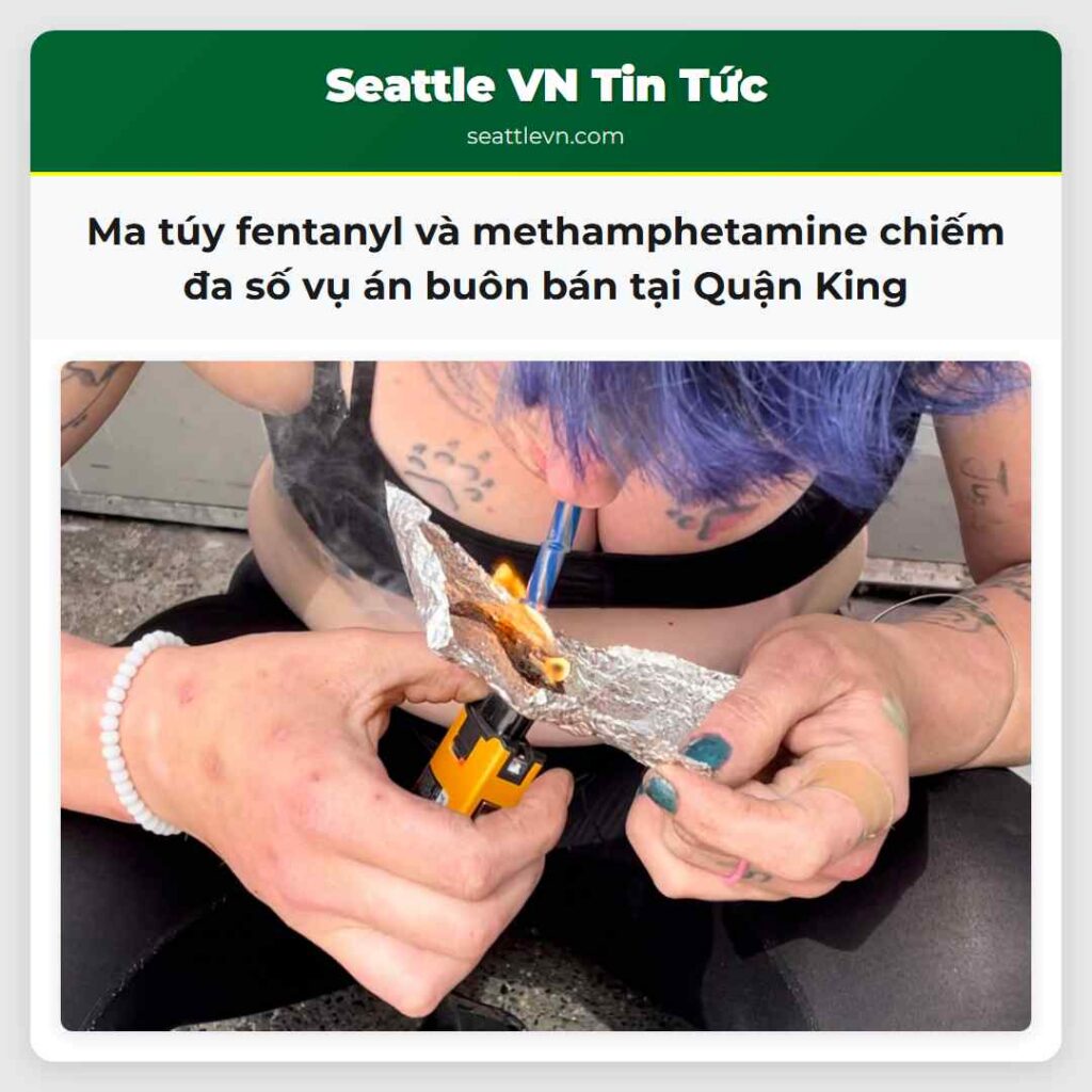 Ma túy fentanyl và methamphetamine chiếm đa số vụ