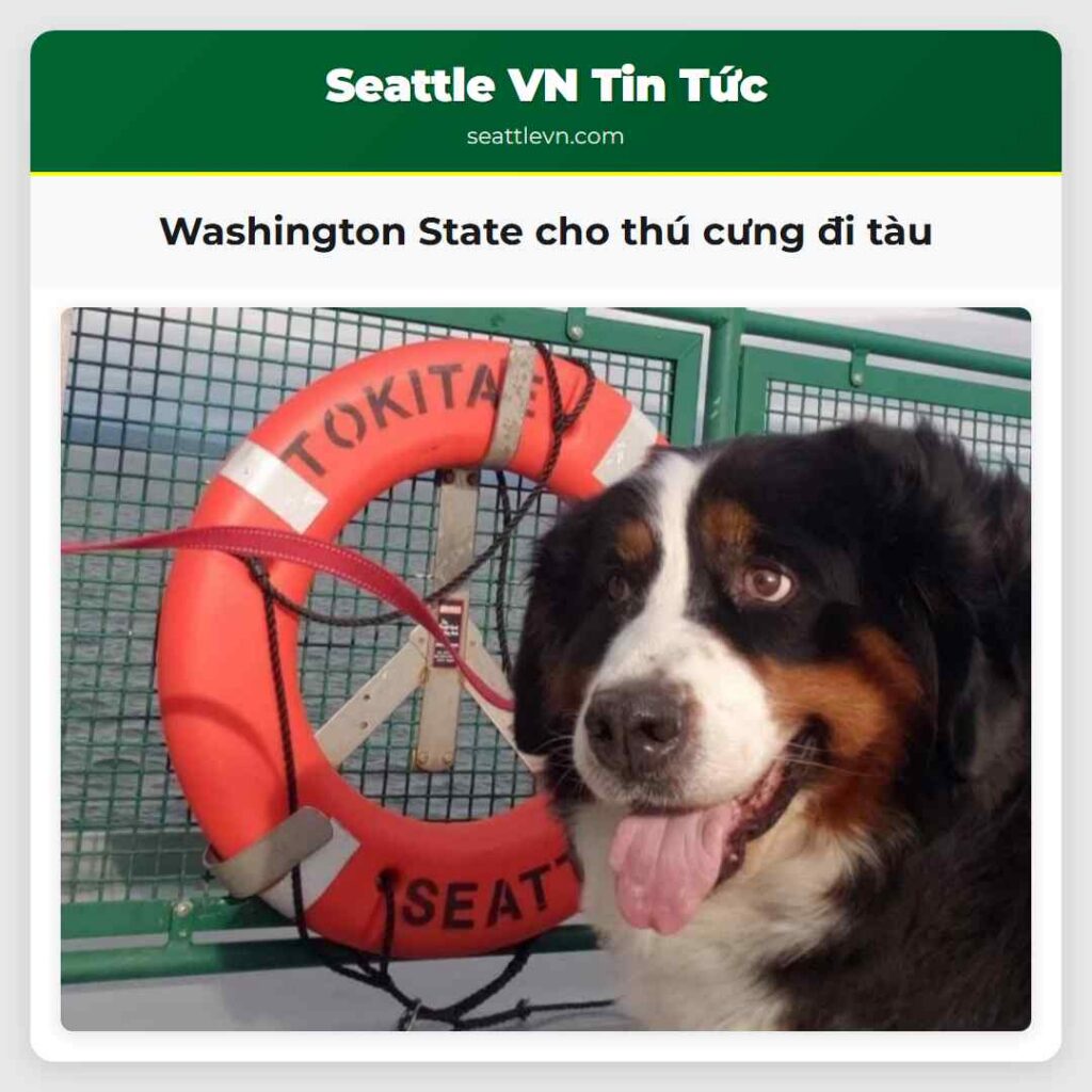 Washington State cho thú cưng đi tàu