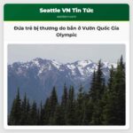 Đứa trẻ bị thương do bắn ở Vườn Quốc Gia Olympic