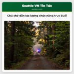 Chú chó dẫn lực lượng chức năng truy đuổi