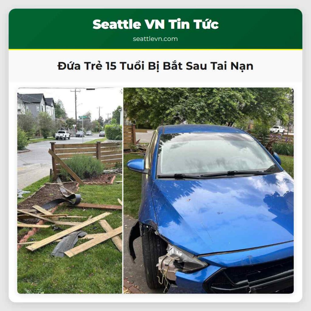 Đứa Trẻ 15 Tuổi Bị Bắt Sau Tai Nạn
