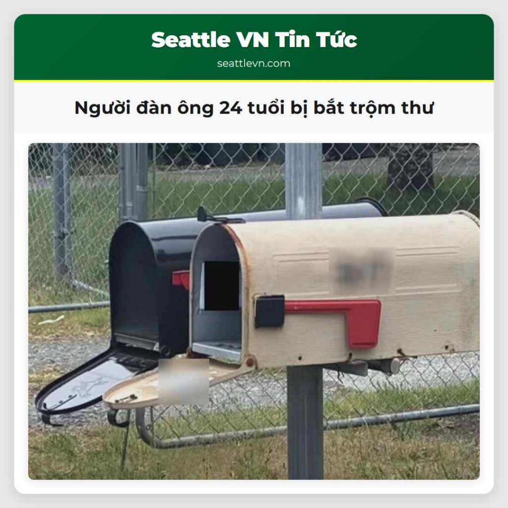 Người đàn ông 24 tuổi bị bắt trộm thư