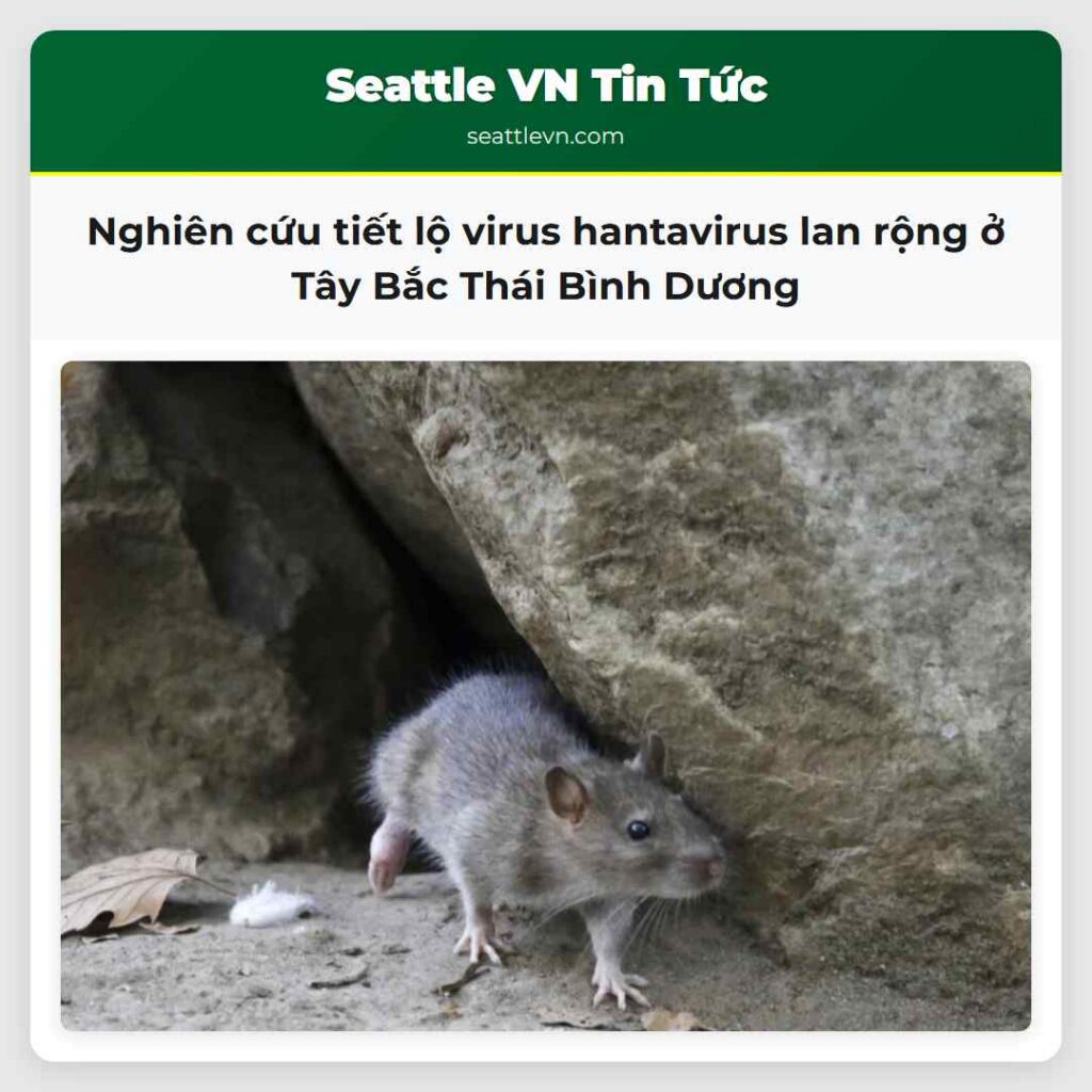 Nghiên cứu tiết lộ virus hantavirus lan rộng ở