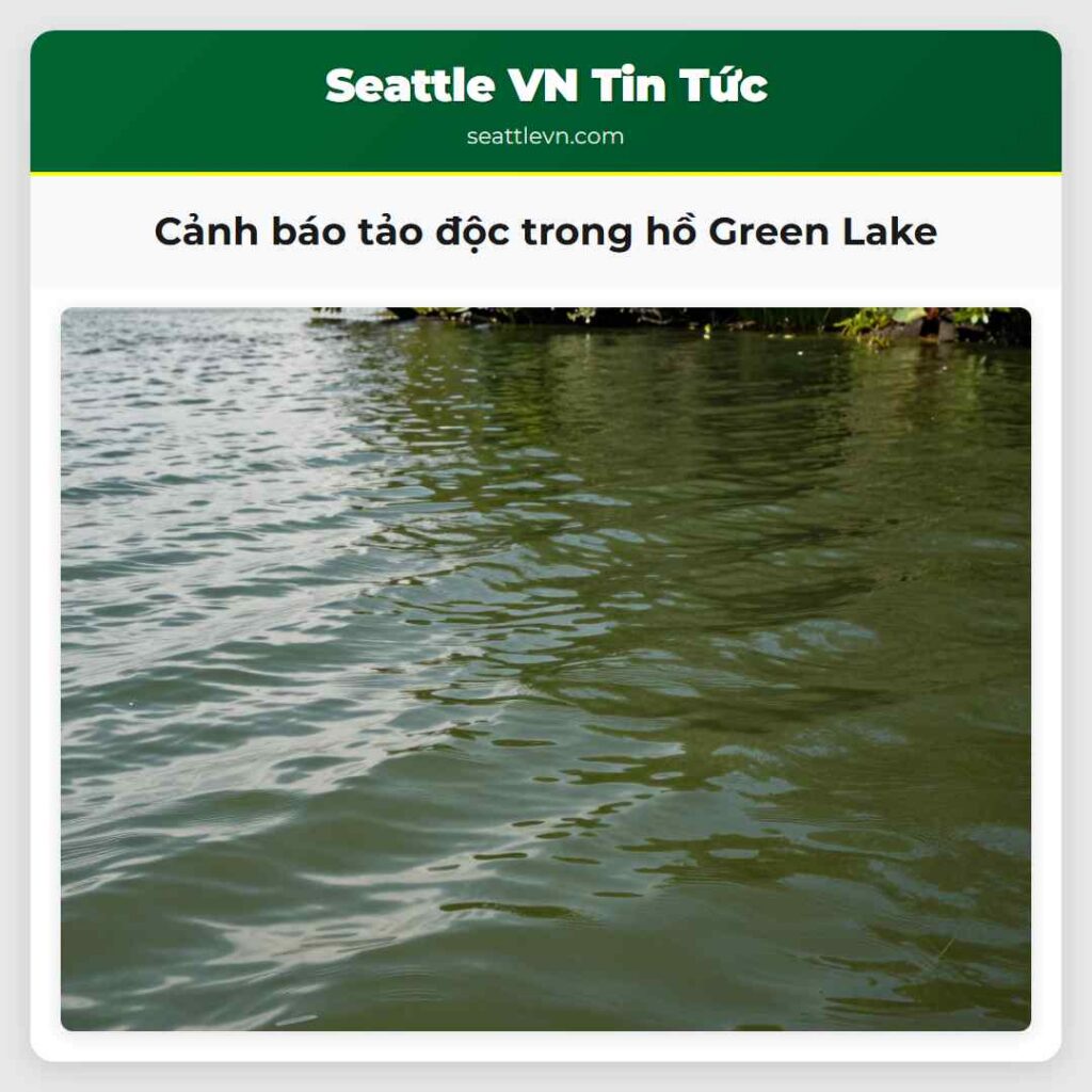Cảnh báo tảo độc trong hồ Green Lake