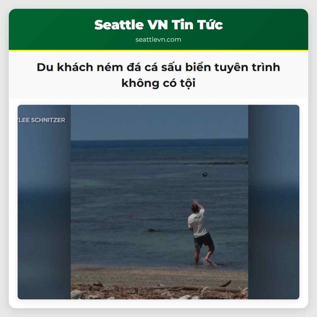 Du khách ném đá cá sấu biển tuyên trình không có
