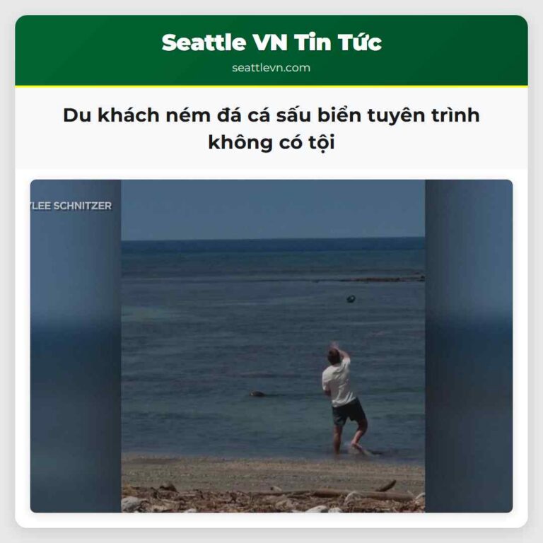 Du khách ném đá cá sấu biển tuyên trình không có tội