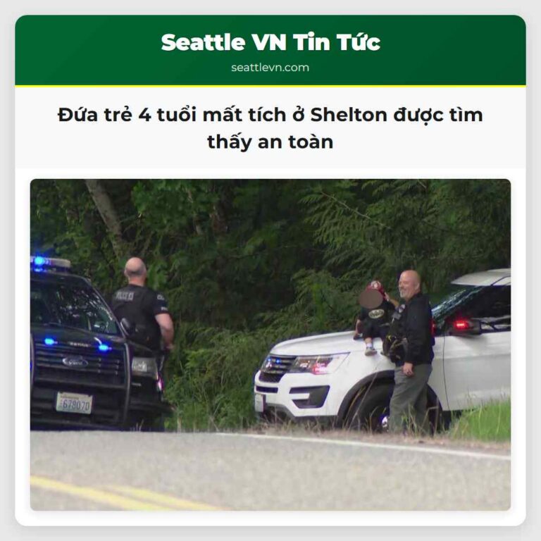 Đứa trẻ 4 tuổi mất tích ở Shelton được tìm thấy an toàn