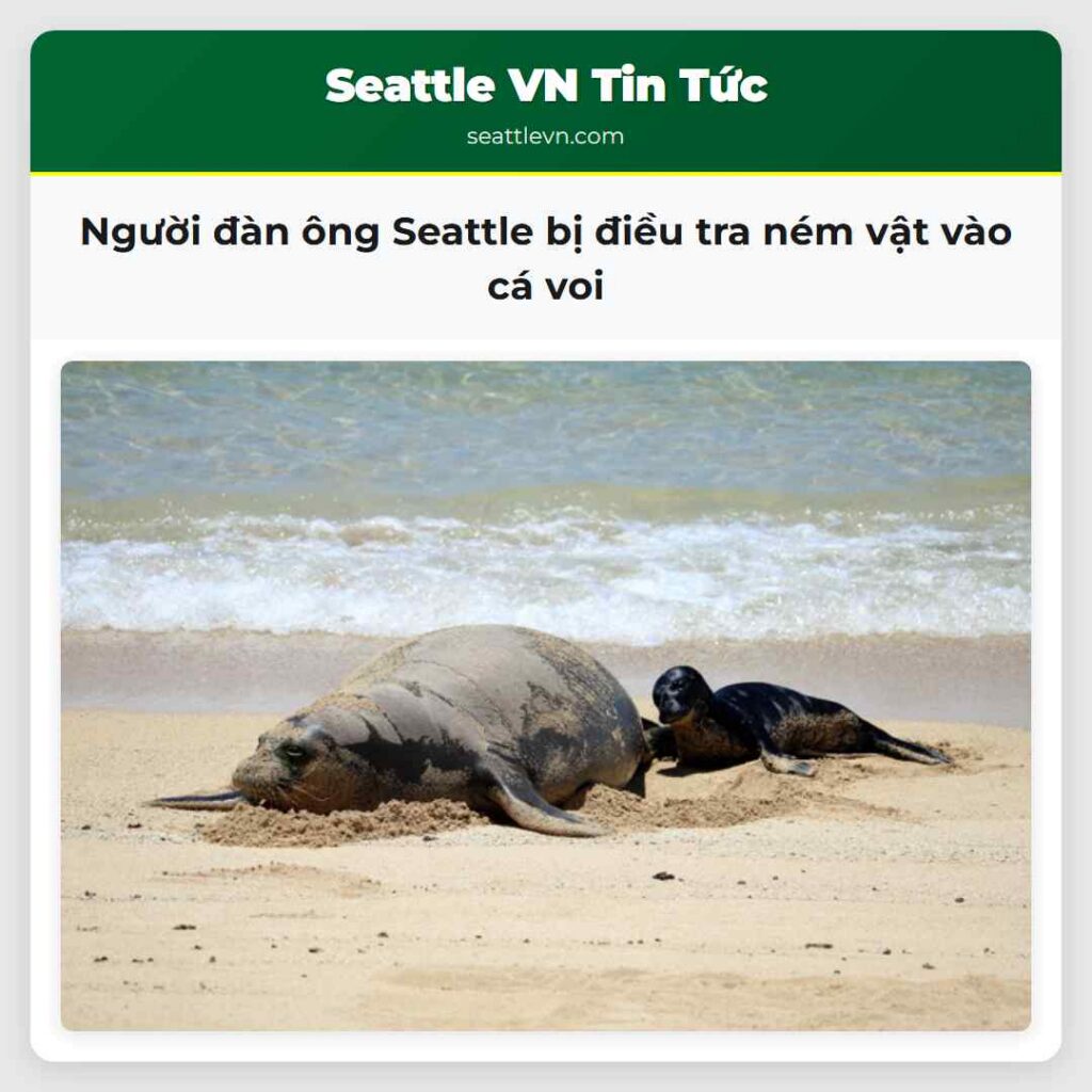 Người đàn ông Seattle bị điều tra ném vật vào cá