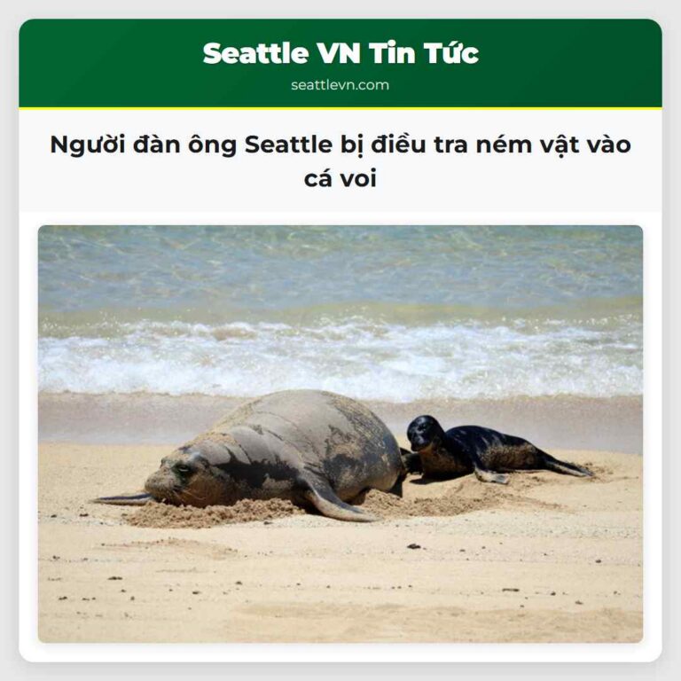 Người đàn ông Seattle bị điều tra ném vật vào cá voi