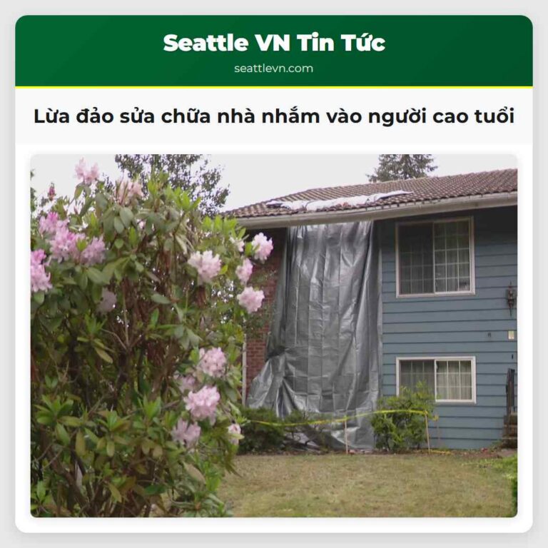 Lừa đảo sửa chữa nhà nhắm vào người cao tuổi