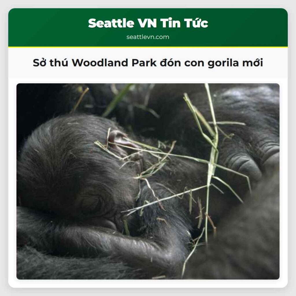 Sở thú Woodland Park đón con gorila mới
